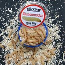 Bienenmaden XXL