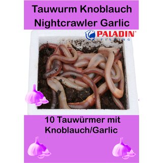 Tauwrmer in Styropor Dose 10 Knoblauch